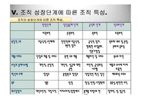 [조직구조론] 제10장 조직성장 ㈜퓨처시스템의 성장 과정-11