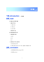 [제품관리] LG전자 최신 MP3플레이어 `앤 37 NEW BEETLE EDITION` 의 브랜드 전략-2