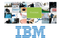한국 IBM 조직구조 분석-1