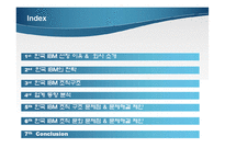 한국 IBM 조직구조 분석-2