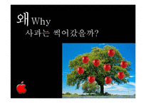 [변화와 혁신] 혁신적인 기업 애플의 과거 현재와 미래-9