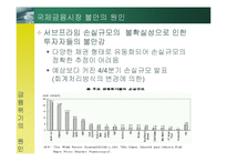 [위험관리] 서브프라임 모기지 사태-13