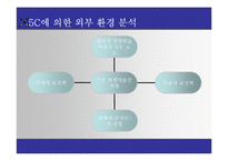 [조직설계] 뮤지컬 산업 분석과 조직 재설계-7