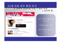 [조직설계] 뮤지컬 산업 분석과 조직 재설계-13