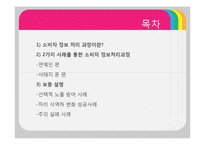 [소비자행동론] 소비자 정보처리과정-2