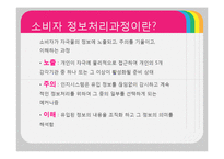 [소비자행동론] 소비자 정보처리과정-3