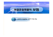 [해상보험론] 복합운송화물의 보험(컨테이너 화물보험과 컨테이너보험 포함)-1