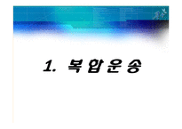 [해상보험론] 복합운송화물의 보험(컨테이너 화물보험과 컨테이너보험 포함)-3