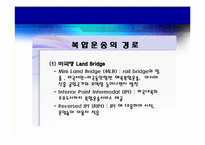 [해상보험론] 복합운송화물의 보험(컨테이너 화물보험과 컨테이너보험 포함)-6