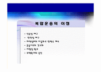 [해상보험론] 복합운송화물의 보험(컨테이너 화물보험과 컨테이너보험 포함)-12