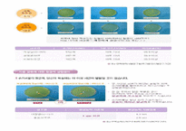 [무역창업과 경영] 수출마케팅 플랜 친환경세제- 슈가버블-16