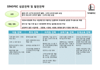 [중국경제론] 중국의 석유 산업 -SINOPEC을 중심으로-13