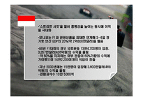 [스포츠마케팅] F1 그랑프리의 한국에서의 성공을 위한 방안-16