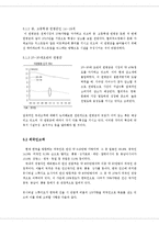 [마케팅전략] 유니버설 스튜디오 Universal Studios Korea의 성공적인 한국 진출에 관한 전략적 고민-16