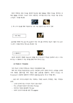 TTL 마케팅 성공사례-9