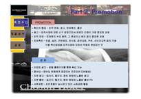 [호텔광고홍보론] 웨스틴 조선호텔의 지면광고홍보에 대한 분석-19