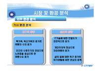 [인터넷비즈니스모델, 사업계획서] 여행관련 정보를 검색하는 고객에게 가공된 정보를 제공하는 업체-11
