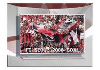 [스포츠마케팅] FC서울의 충성고객 확보-1