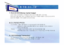 [국제재무관리 및 회계] 환위험관리-19