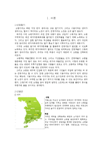 [관광상품개발] 고령군 관광상품개발-2