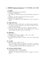[마케팅] 틈새라면 성공 사례-5