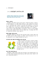 유한킴벌리, 도요타 조직구조분석, 기능전략분석-2