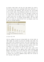 [경제학] 2009년 수출둔화 및 전망-4