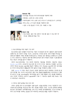 [인적자원관리] 삼성전자 R&D 인력 보상-16