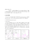 [광고판촉론] 스포츠웨어 브랜드 New Balance 광고-13
