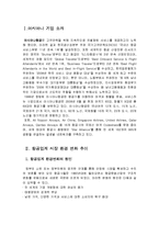 [서비스마케팅] 금호 아시아나 마케팅 전략분석-3