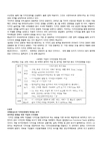 디자인 경영 레포트-2
