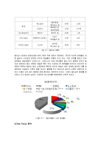 [인터넷마케팅] ABC-Mart(ABC마트) 인터넷 마케팅전략-5