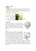 [생물공학] 콜로이드 제조-4
