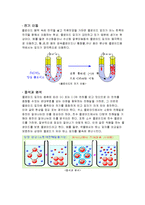 [생물공학] 콜로이드 제조-5
