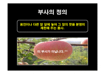 [국어문법론] 관형사, 부사, 감탄사 품사의 통용 연습문제 풀이-19