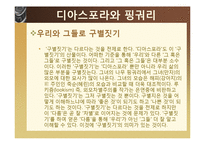[작품분석] 그녀의 나무 핑궈리-17