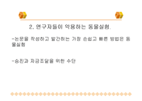 [불교윤리] 동물실험-17
