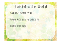 [한국경제] 농업분야의 현황 및 향후과제-12