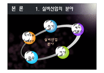 [노인복지론] 실버산업 전망-5
