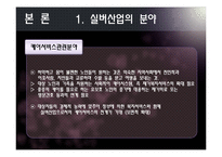 [노인복지론] 실버산업 전망-7