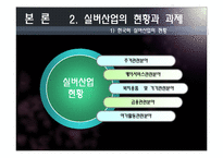 [노인복지론] 실버산업 전망-11