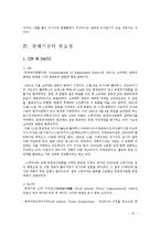 [국제정치학] 그루지야 vs. 러시아-10