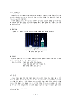 [국제커뮤니케이션] 진로의 국제커뮤니케이션 사례-16