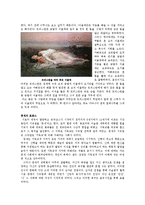 [북유럽신화] 트리스탄과 이졸데-8