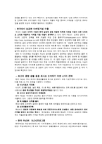 [다국적기업] P&G 의 시장 진출과 Gillette(질레트) M&A-17