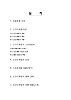 [소비자행동] 스타마케팅-2