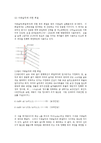 [물리실험] 실험8. 빛의 회절 및 간섭 실험-5
