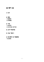 [초등교육] 백남준 교육과정 -초등학교 6학년 대상으로-2