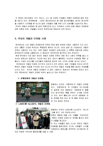 [광고홍보] 게릴라 마케케팅에 관한 연구-5