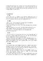 [글로벌기업소개] 나이키의 전략-16